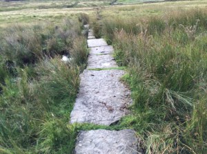 Where were you yesterday?