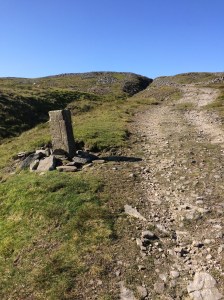 You only get the nice path if you have a PONY!