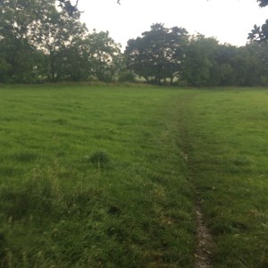 Can you see the path.