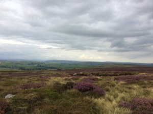 Is that rain I see before me?