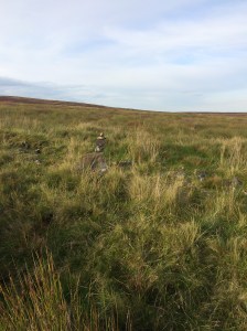 And the award for the world's smallest Cairn goes to ...