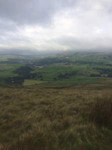 It's gonna be one of those days.