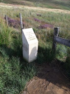 It doesn't look like it does in Wallace and Grommit