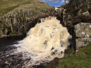 Out of the frypan and into the cauldron.