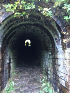 A beautiful tunnel.